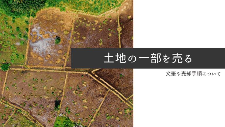 土地の一部を売却する方法と手順